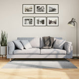 vidaXL Vloerkleed IZA laagpolig Scandinavisch 80x150 cm antraciet