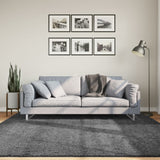 vidaXL Vloerkleed OVIEDO laagpolig 60x110 cm antracietkleurig