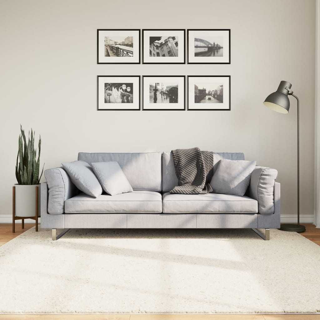 vidaXL Vloerkleed OVIEDO laagpolig 60x110 cm antracietkleurig