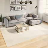 vidaXL Vloerkleed OVIEDO laagpolig 60x110 cm antracietkleurig