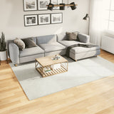 vidaXL Vloerkleed OVIEDO laagpolig 60x110 cm antracietkleurig