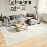 vidaXL Vloerkleed OVIEDO laagpolig 60x110 cm antracietkleurig
