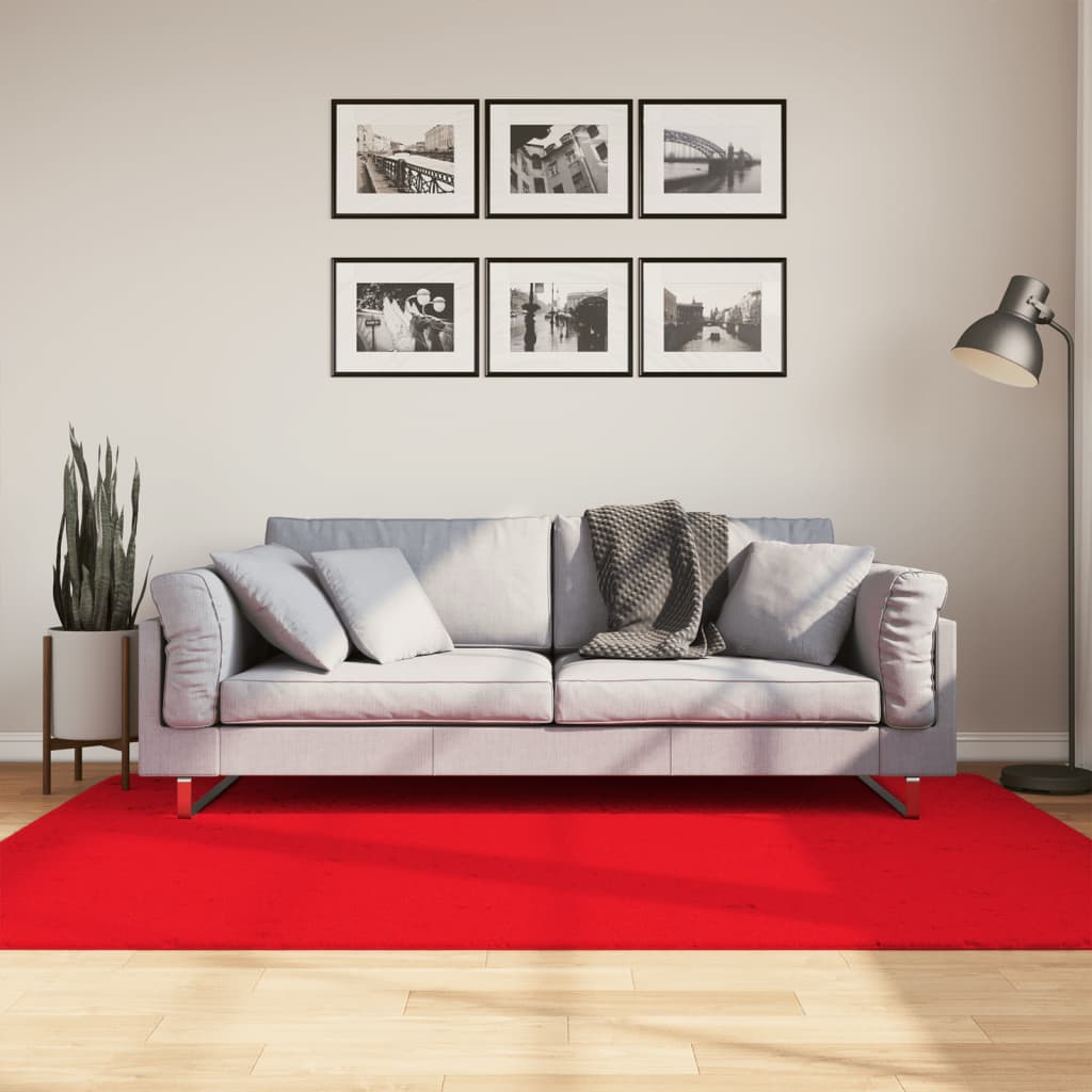 vidaXL Vloerkleed OVIEDO laagpolig 60x110 cm antracietkleurig