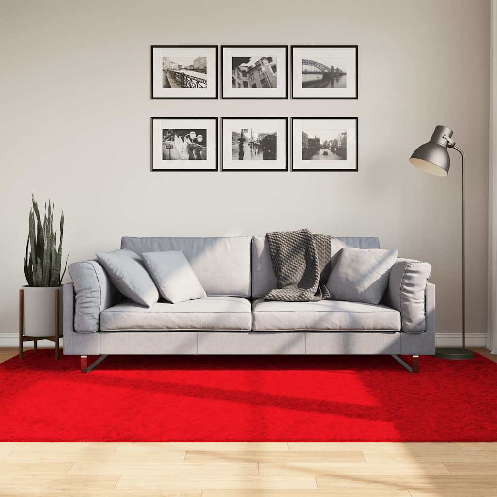 vidaXL Vloerkleed OVIEDO laagpolig 60x110 cm antracietkleurig