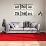 vidaXL Vloerkleed OVIEDO laagpolig 60x110 cm antracietkleurig