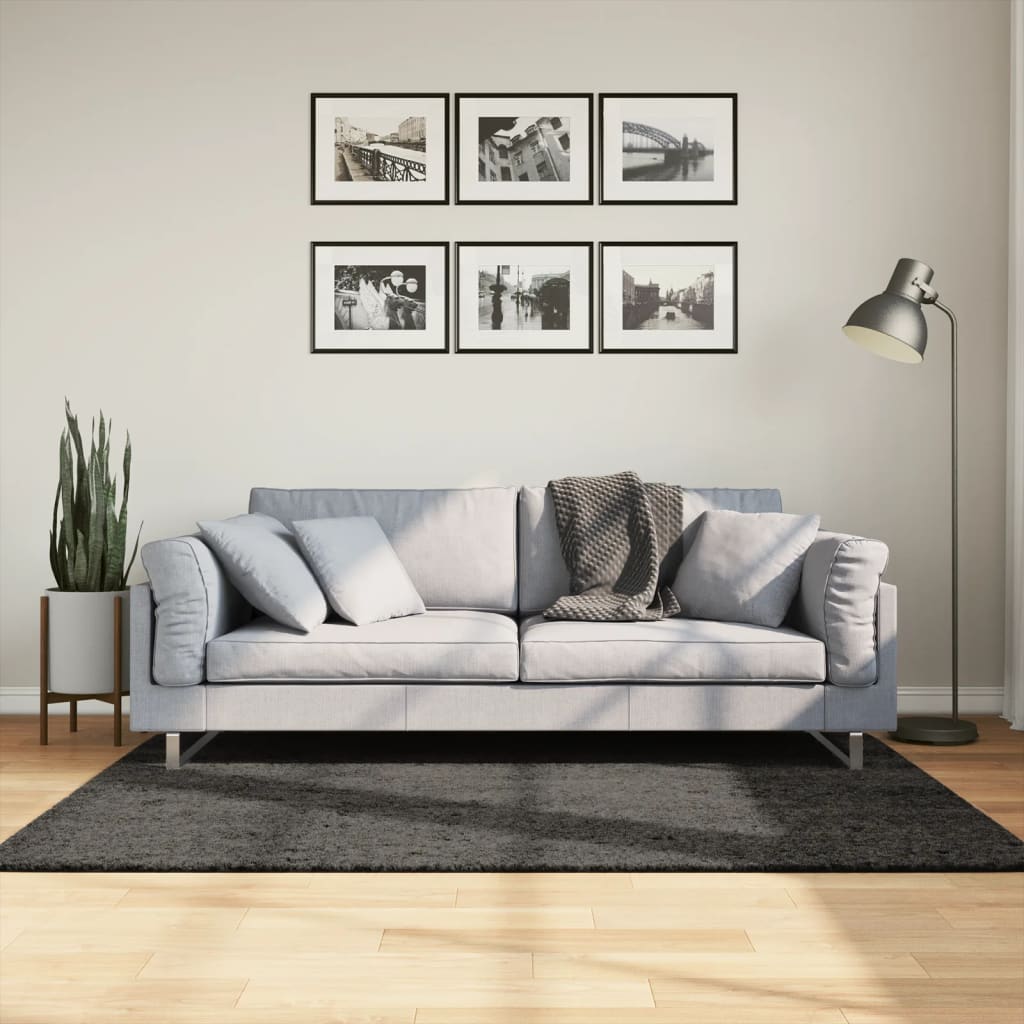 vidaXL Vloerkleed ISTAN hoogpolig glanzend 80x150 cm antracietkleurig