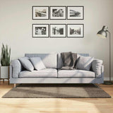vidaXL Vloerkleed ISTAN hoogpolig glanzend 80x150 cm antracietkleurig