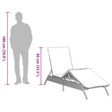 vidaXL Sun Loungers 2 pcs with table poly rattan gray (US only)