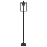 vidaXL Vloerlamp voor buiten 60 cm roestvrij staal zwart