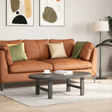 vidaXL Salontafelpoten 2 st 30x(30-31) cm staal zwart