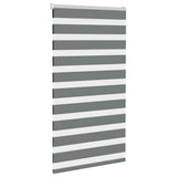 vidaXL Zebra rolgordijn 40x100 cm stofbreedte 35,9 cm donkergrijs