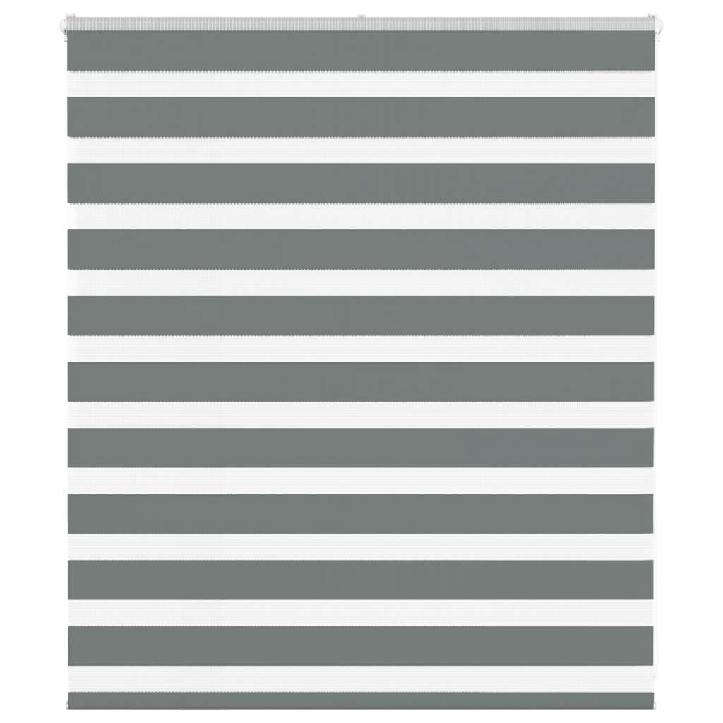 vidaXL Zebra rolgordijn 40x100 cm stofbreedte 35,9 cm donkergrijs