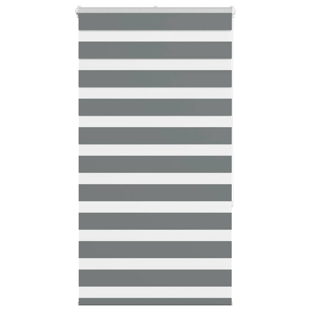 vidaXL Zebra rolgordijn 40x100 cm stofbreedte 35,9 cm donkergrijs