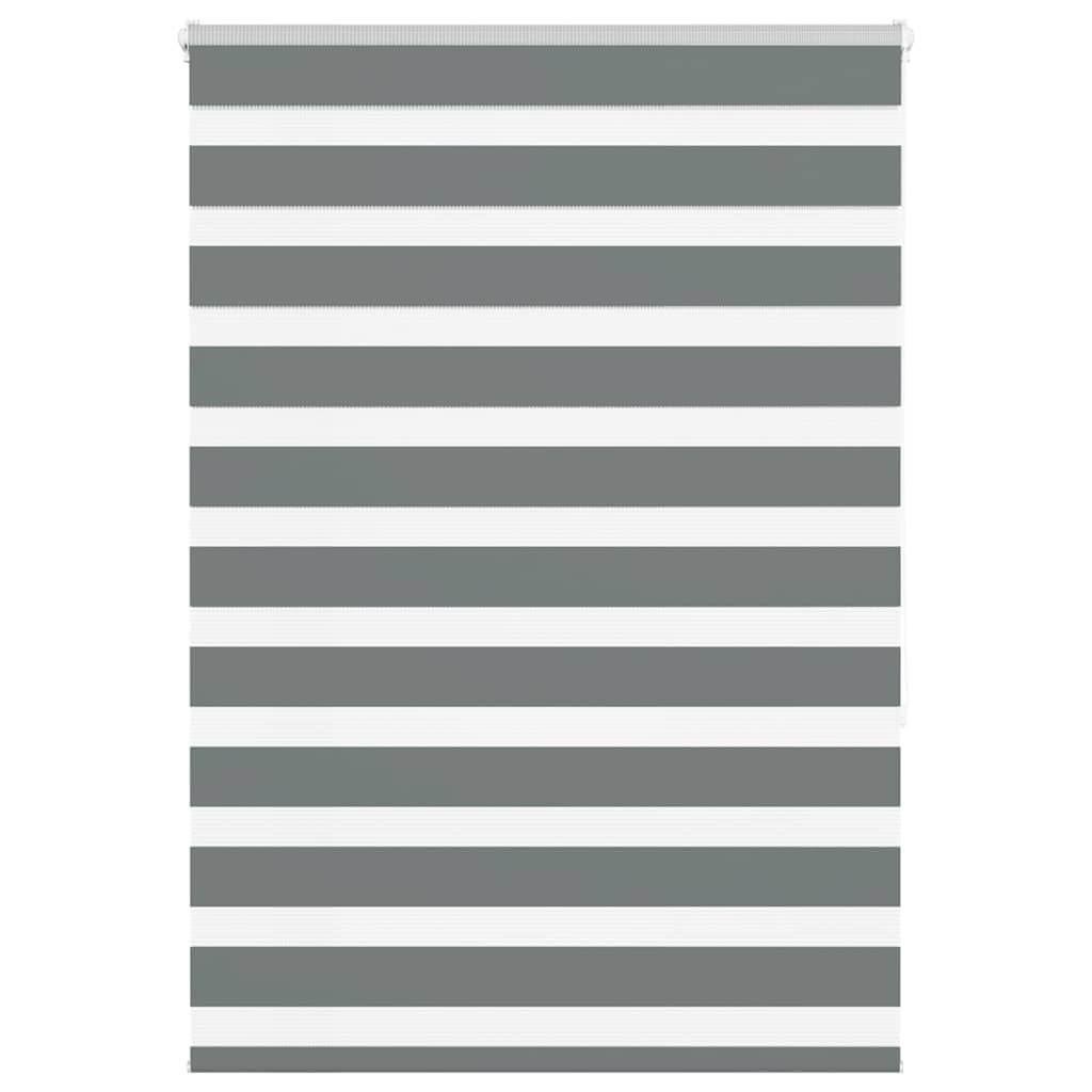 vidaXL Zebra rolgordijn 40x100 cm stofbreedte 35,9 cm donkergrijs