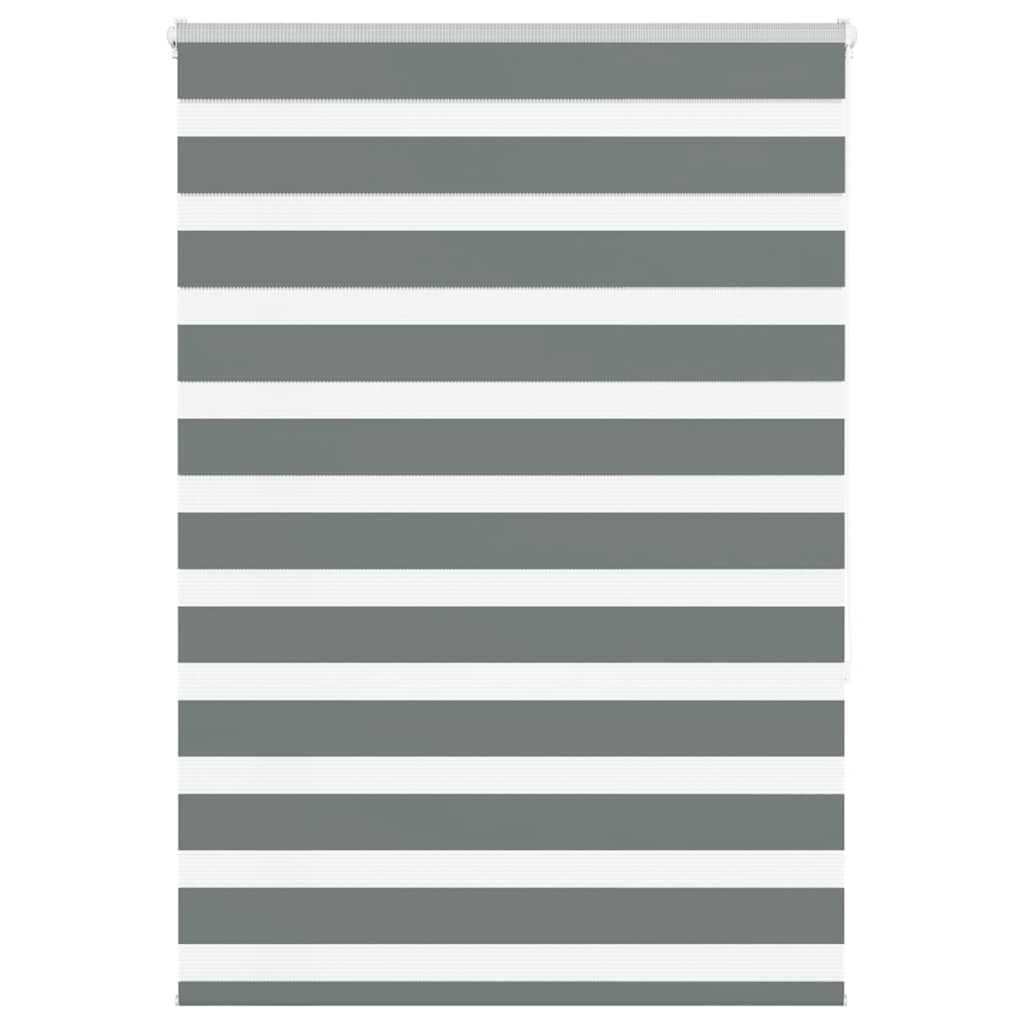 vidaXL Zebra rolgordijn 40x100 cm stofbreedte 35,9 cm donkergrijs