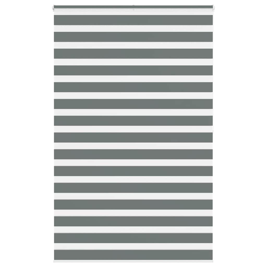 vidaXL Zebra rolgordijn 40x100 cm stofbreedte 35,9 cm donkergrijs