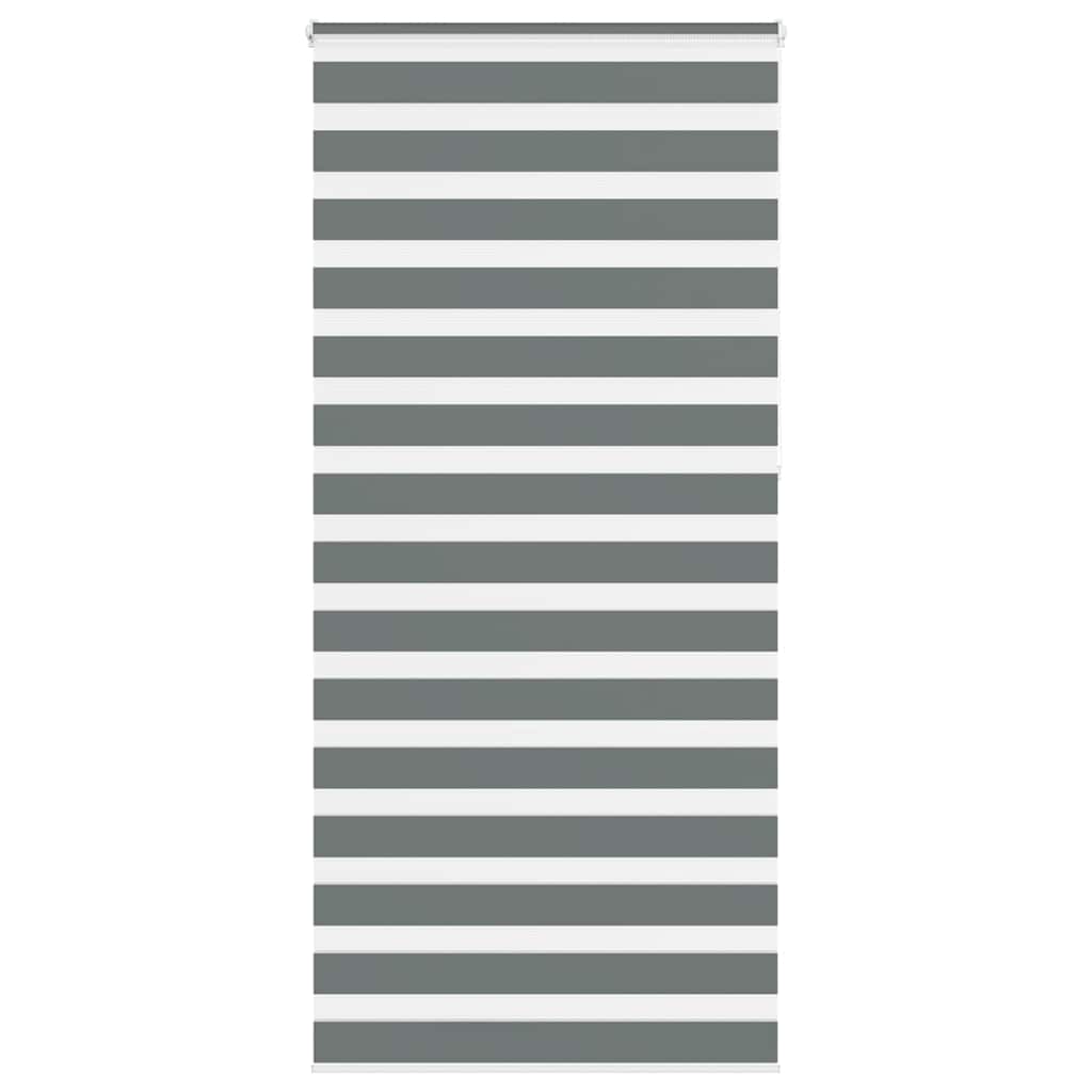 vidaXL Zebra rolgordijn 40x100 cm stofbreedte 35,9 cm donkergrijs
