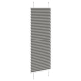 vidaXL Plissé rolgordijn 40x100 cm stofbreedte 39,4 cm antraciet