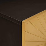 vidaXL Nachtkastje Zwart en Goud 40 x 33,5 x 46 cm Massief acaciahout