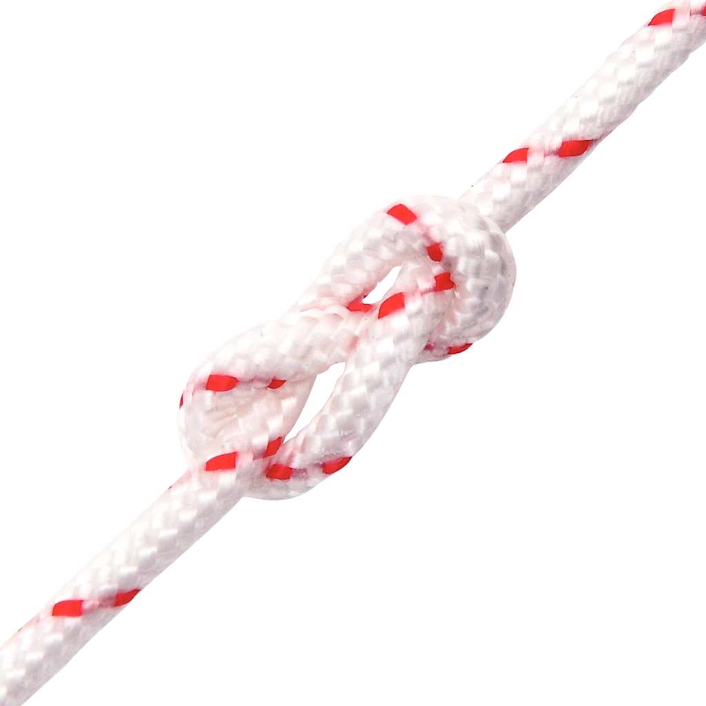 vidaXL Drawstring Starter Cord White and Red Ø3 mm 10 m Nylon