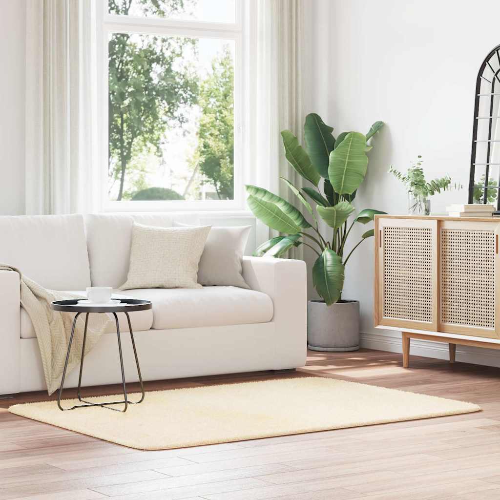 vidaXL Hoogpolig vloerkleed NAVARRA 60x100 cm polyester beige