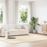 vidaXL Hoogpolig vloerkleed NAVARRA 60x100 cm polyester beige