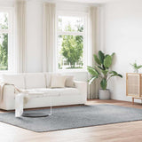 vidaXL Hoogpolig vloerkleed NAVARRA 60x100 cm polyester beige