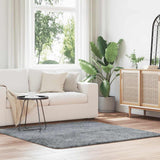 vidaXL Hoogpolig vloerkleed NAVARRA 60x100 cm polyester beige