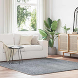 vidaXL Hoogpolig vloerkleed NAVARRA 60x100 cm polyester beige
