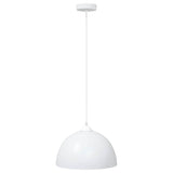 vidaXL Hanglampen 2 st In hoogte verstelbaar E27 30 cm metaal zwart
