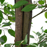vidaXL Artificial Ficus Plant 788 Leaves 120 cm Green