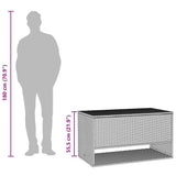 vidaXL Opbergbox voor buiten 100x55x55,5 cm poly rattan zwart