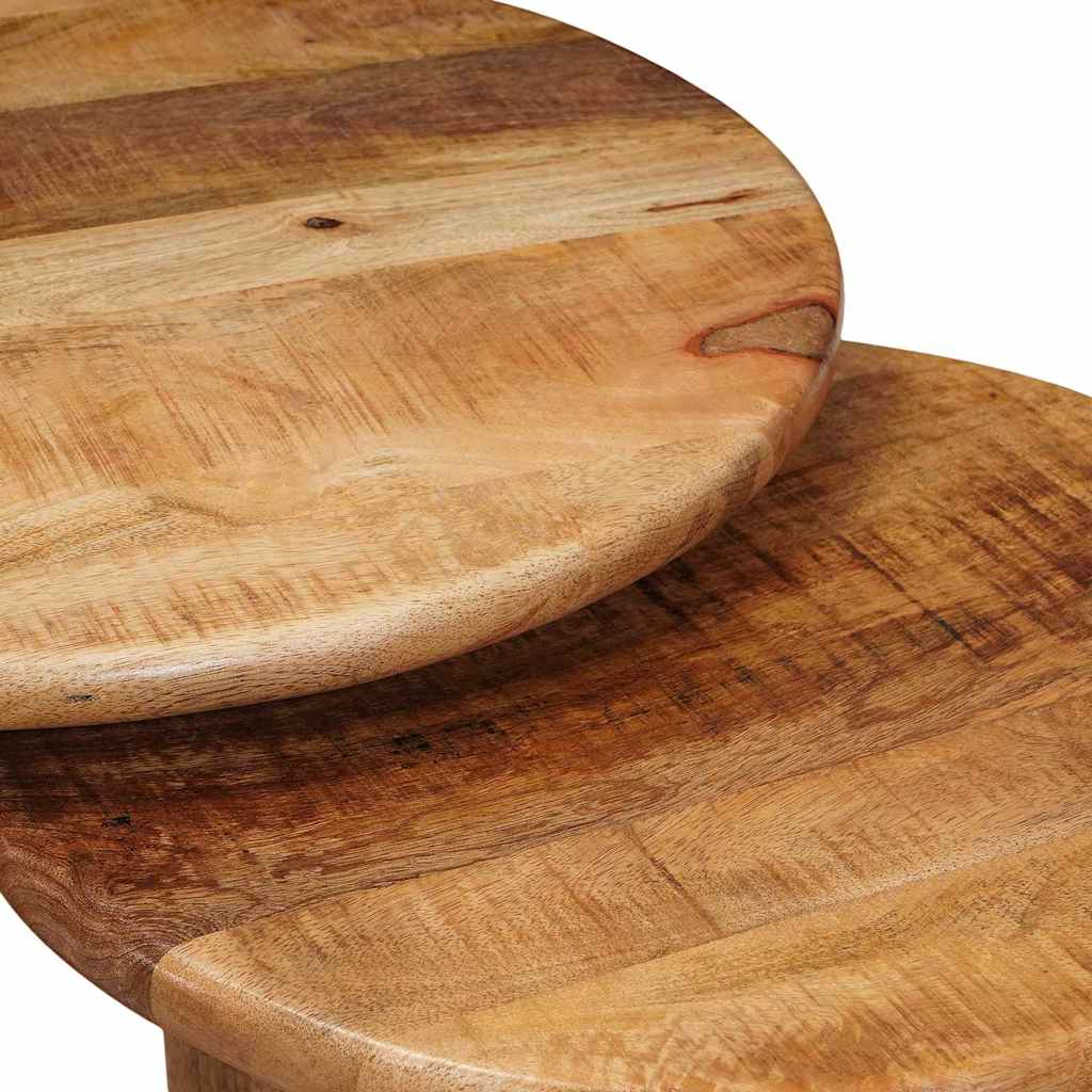 vidaXL Nesting Koffietafels 2 pcs Bruin Massief Mango Hout