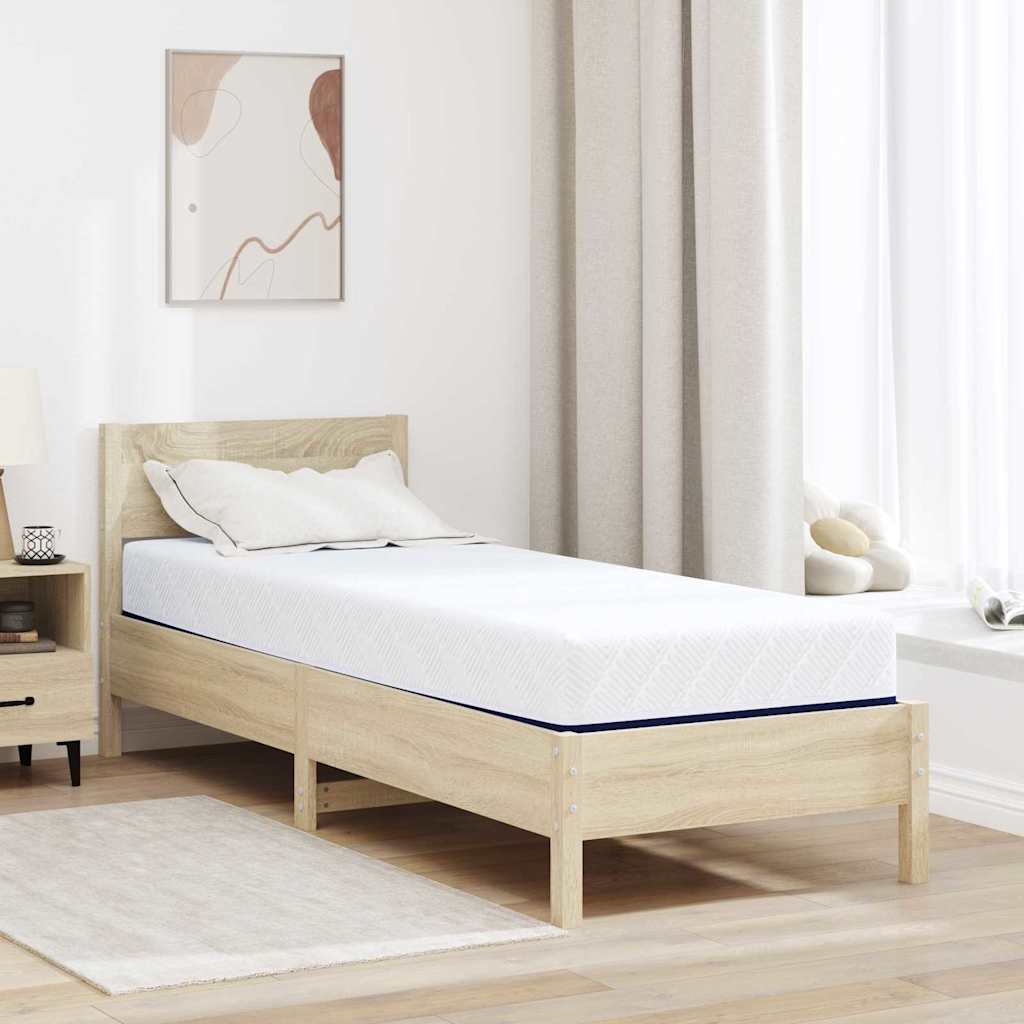 vidaXL Matras Wit en Blauw 80 x 160 cm Jacquard stof