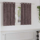 vidaXL Velvet Gordijnen 2 pcs Wijnrood 140 x 140 cm Fluweel