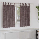 vidaXL Velvet Gordijnen 2 pcs Wijnrood 140 x 140 cm Fluweel