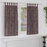 vidaXL Velvet Gordijnen 2 pcs Wijnrood 140 x 140 cm Fluweel