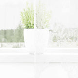 vidaXL Lace Curtain with Drapes Floral White 80 x 150 cm Polyester