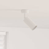 vidaXL Plafondspot met schijnwerpers Zwart 6 x 6 x 16 cm Metaal
