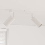vidaXL Plafondspot met schijnwerpers Zwart 6 x 6 x 16 cm Metaal