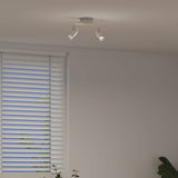vidaXL Plafondspot met schijnwerpers Nikkel 27 x 10 x 12 cm Metaal