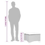 vidaXL Tuinkrukken met kussens 2 st 55x55x36 cm poly rattan zwart