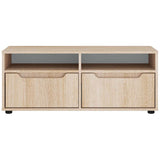 vidaXL Tv-meubel VISNES 100x40x38 cm bewerkt hout wit