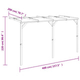 vidaXL Pergola 2x4x2.2 m wood