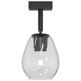 vidaXL Plafondspot Zwart 13 x 13 x 26 cm Glas en Metaal