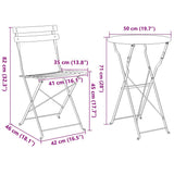 vidaXL Opvouwbare Bistroset 3 pcs Bossen Staal