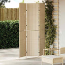 vidaXL Kamerverdeler Zwart 146 x 180 cm poly rattan