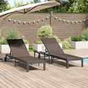 vidaXL Ligstoel 2-persoon 3 pcs Bruin poly rattan