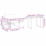 vidaXL Buiten Stalen Zitten 2 pcs Antraciet Staal
