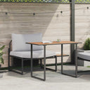 vidaXL Buiten Stalen Zitten 2 pcs Antraciet Staal